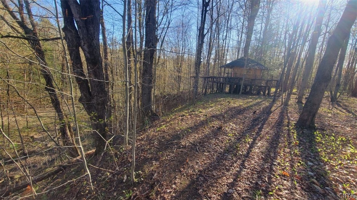Walker Road Deerfield, NY 13502 - Photo 18 of 23