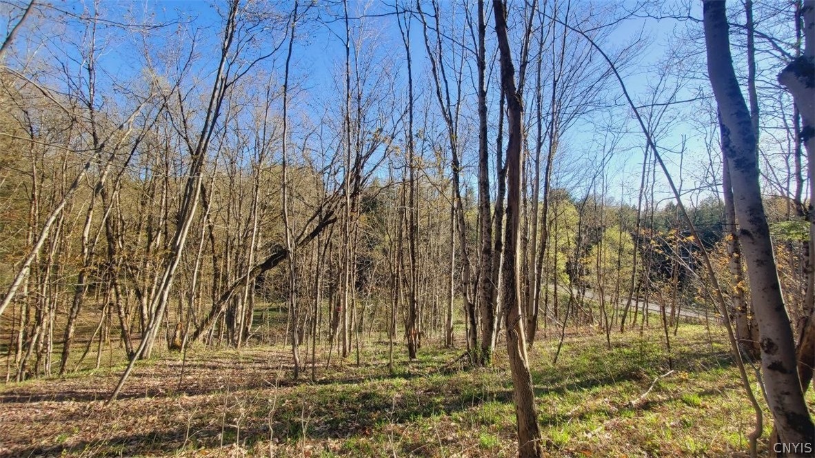 Walker Road Deerfield, NY 13502 - Photo 19 of 23
