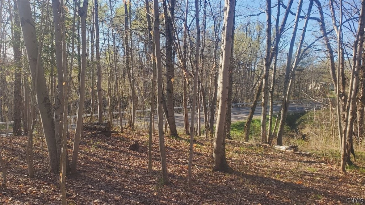 Walker Road Deerfield, NY 13502 - Photo 20 of 23