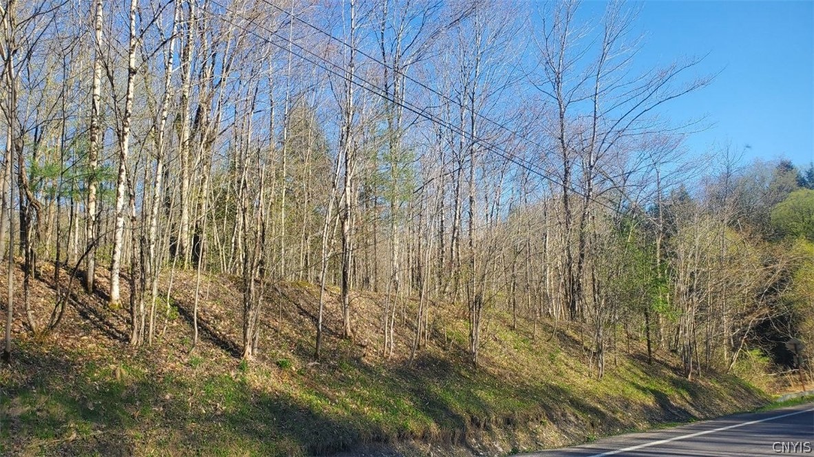 Walker Road Deerfield, NY 13502 - Photo 2 of 23