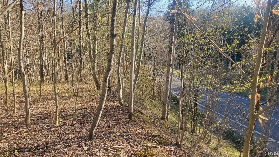 Walker Road Deerfield, NY 13502 - Photo 21 of 23
