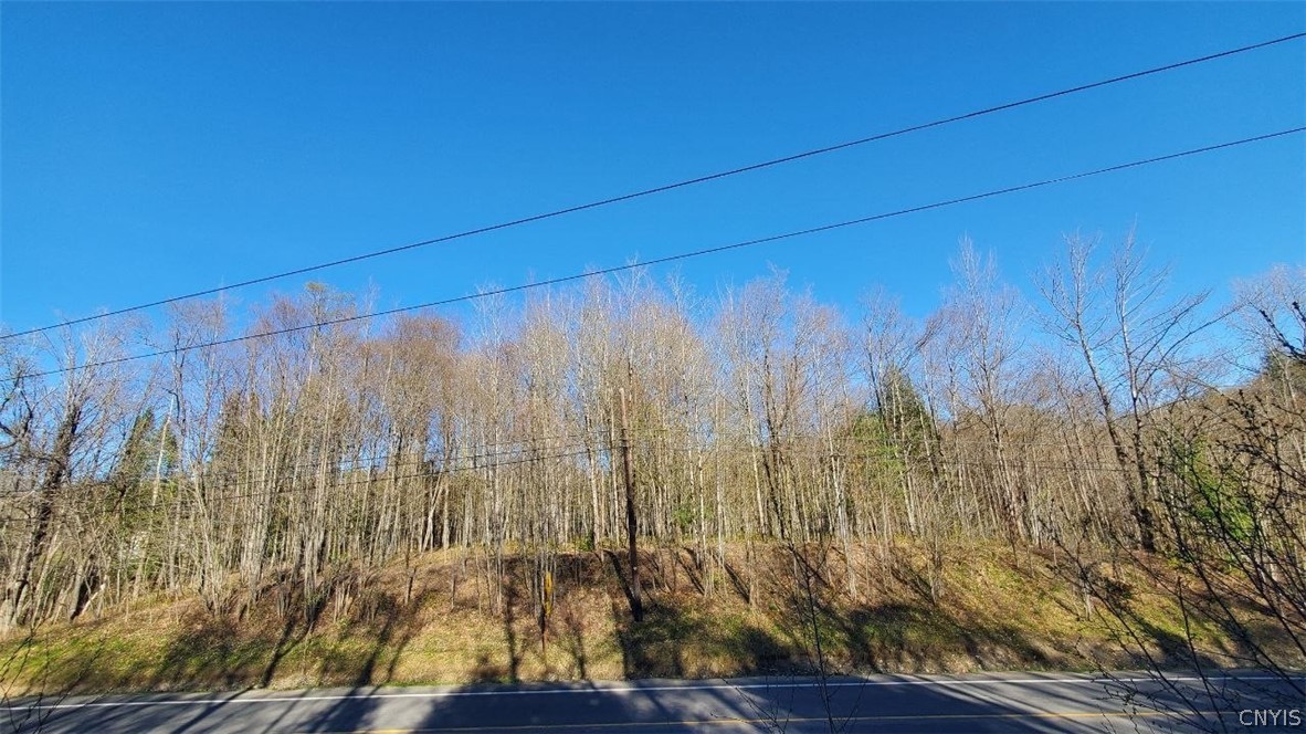 Walker Road Deerfield, NY 13502 - Photo 23 of 23