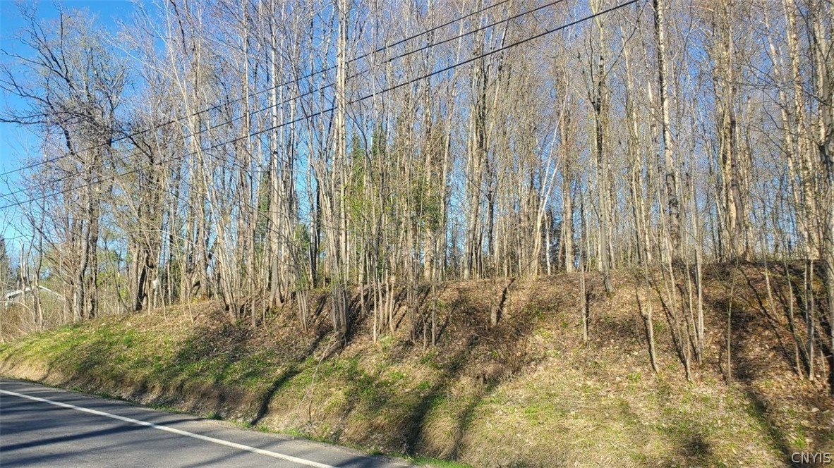 Walker Road Deerfield, NY 13502 - Photo 3 of 23