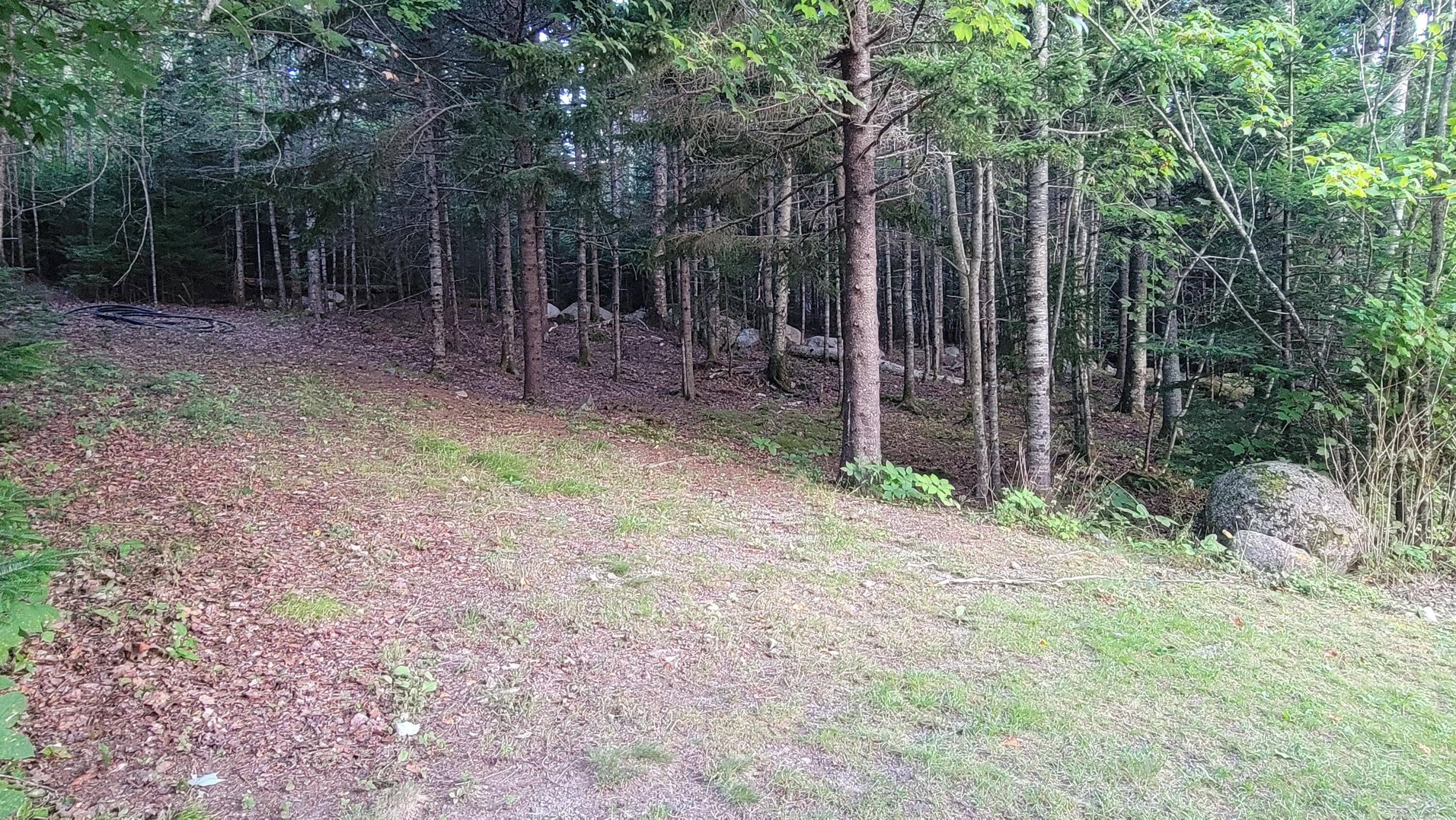 77 Dolly Head Road Steuben, ME 04680 - Photo 47 of 52 Additional Acreage