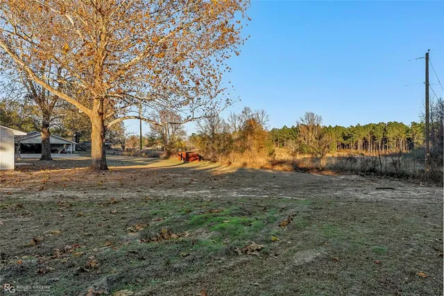 a view of road with tree