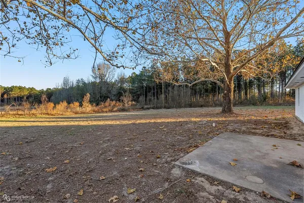 a view of yard with large trees