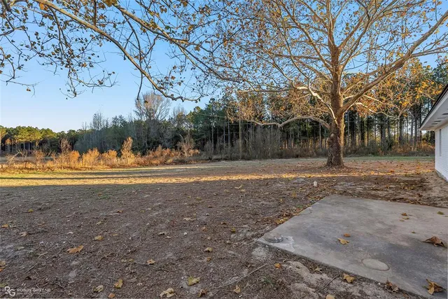 a view of yard with large trees