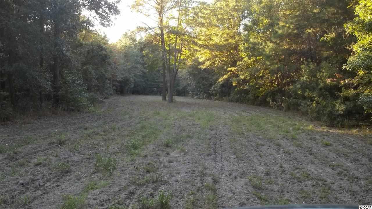 168-ac Carrie Road Georgetown, SC 29440 - Photo 1 of 6 Gallery Image 1