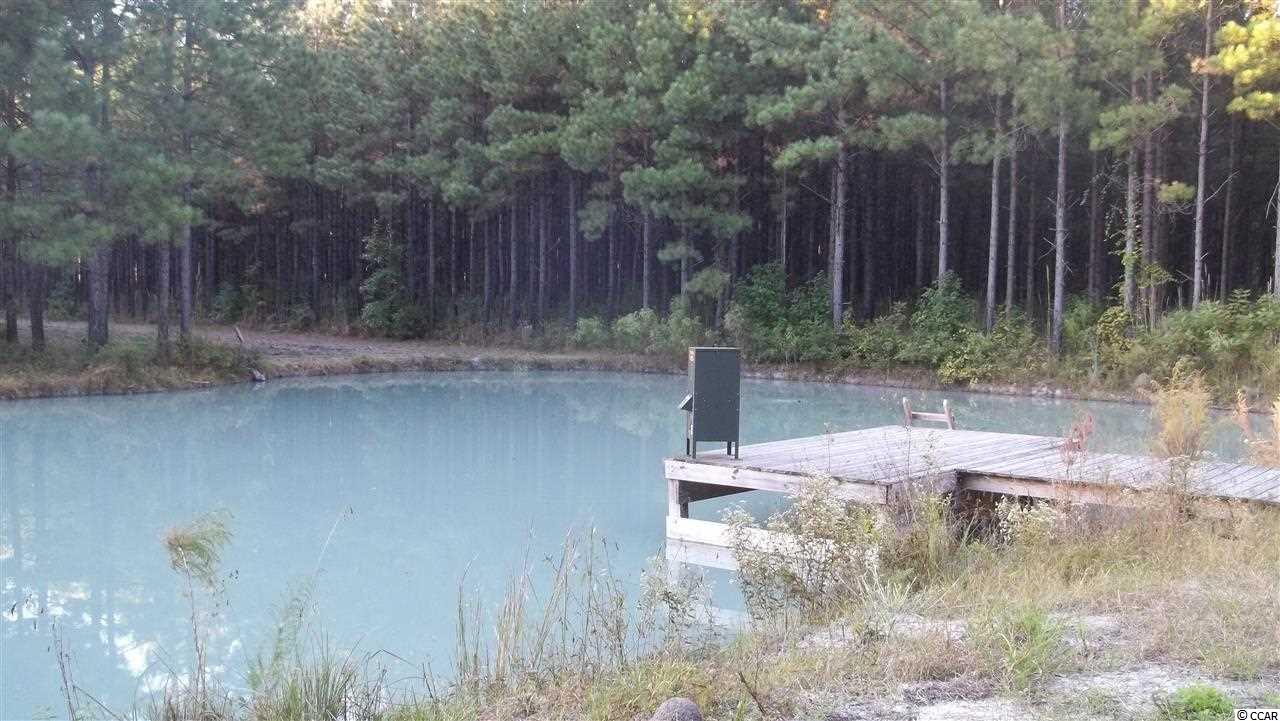 168-ac Carrie Road Georgetown, SC 29440 - Photo 2 of 6 Gallery Image 2