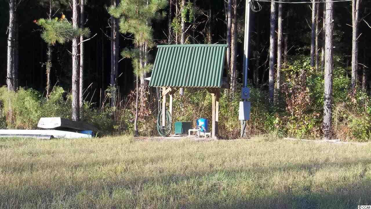 168-ac Carrie Road Georgetown, SC 29440 - Photo 3 of 6 Gallery Image 3