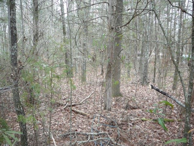 33 Lone Eagle Way Iva, SC 29655 - Photo 4 of 4
