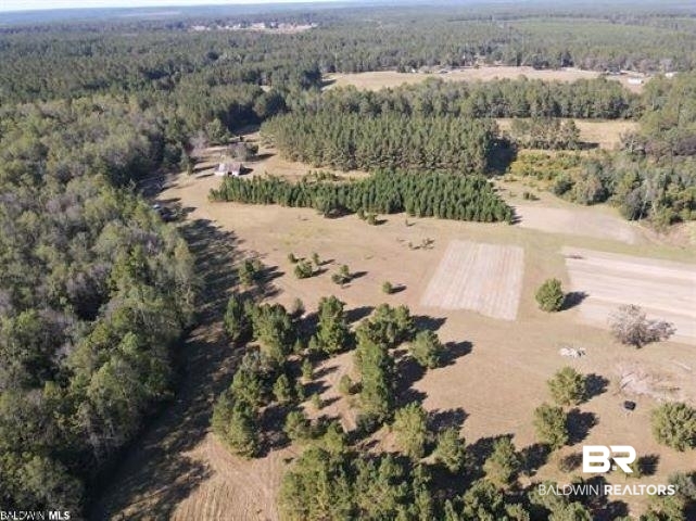 14500 Melvin Johnson Road Stapleton, AL 36578 - Photo 2 of 24 Gallery Image 2