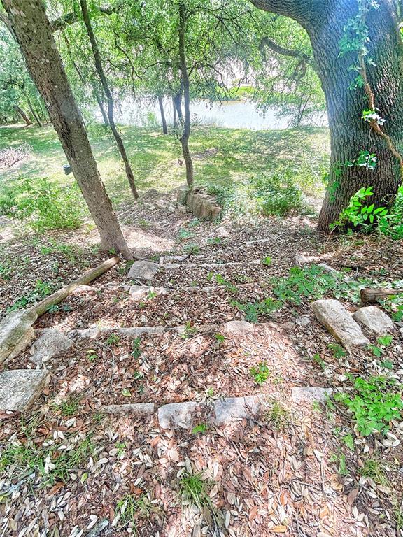 101 Riverview Road Millsap, TX 76066 - Photo 8 of 26 a view of a yard with a tree
