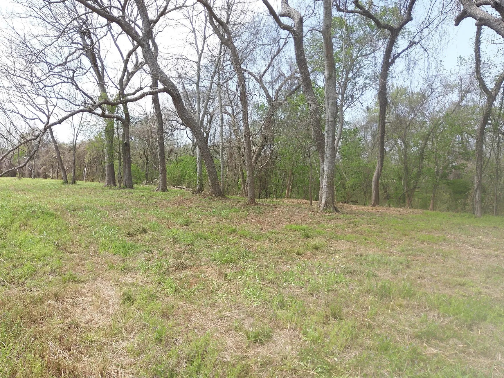 Lot 1 FM 521 Road Angleton, TX 77515 - Photo 13 of 34
