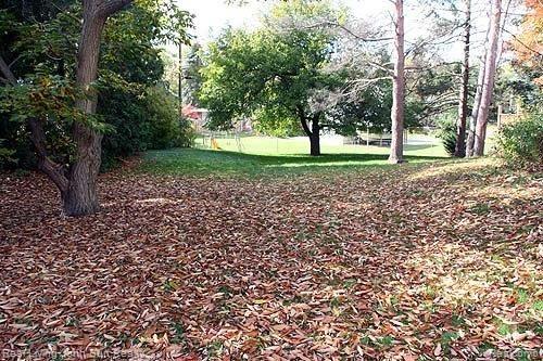 6123 Overlook Road Clarkston, MI 48346 - Photo 2 of 14 6123-Overlook---45