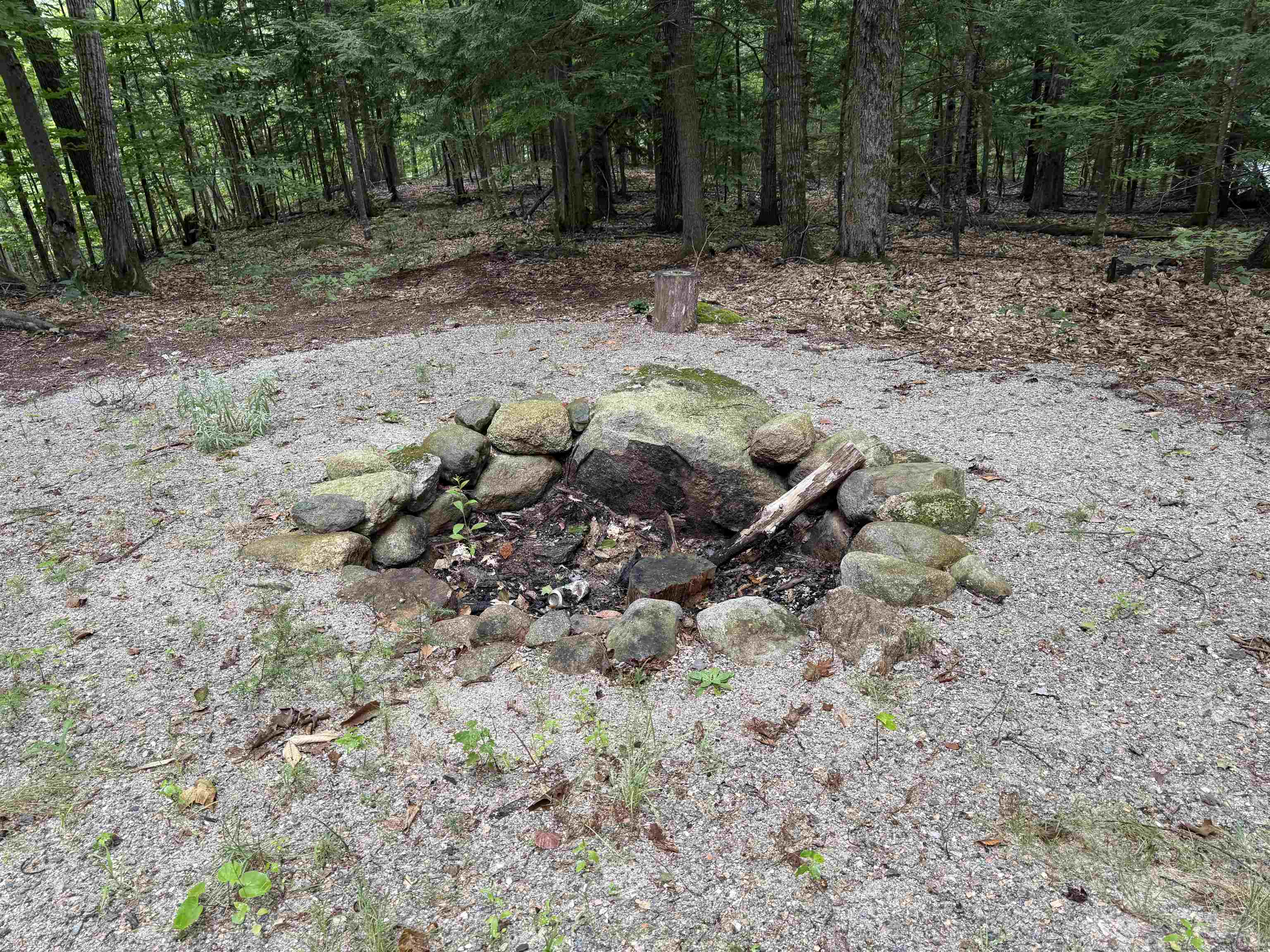 0 Conway Road, Unit 46 Madison, NH 03849 - Photo 9 of 14 Gallery Image 9