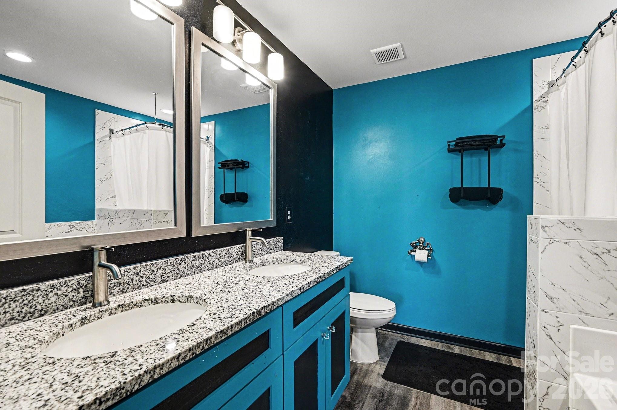 313 Bell Street Mount Holly, NC 28120 - Photo 12 of 19 a bathroom with a granite countertop sink a toilet and mirror