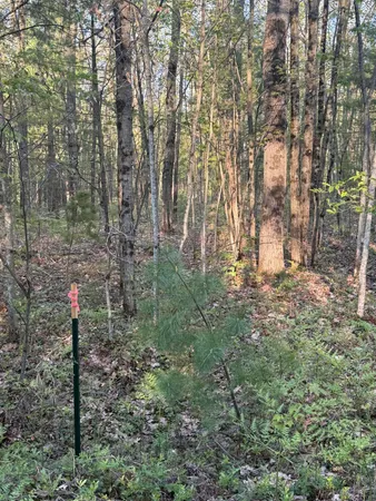 $9,990 | North Woodland Avenue, Bitely, MI 49309