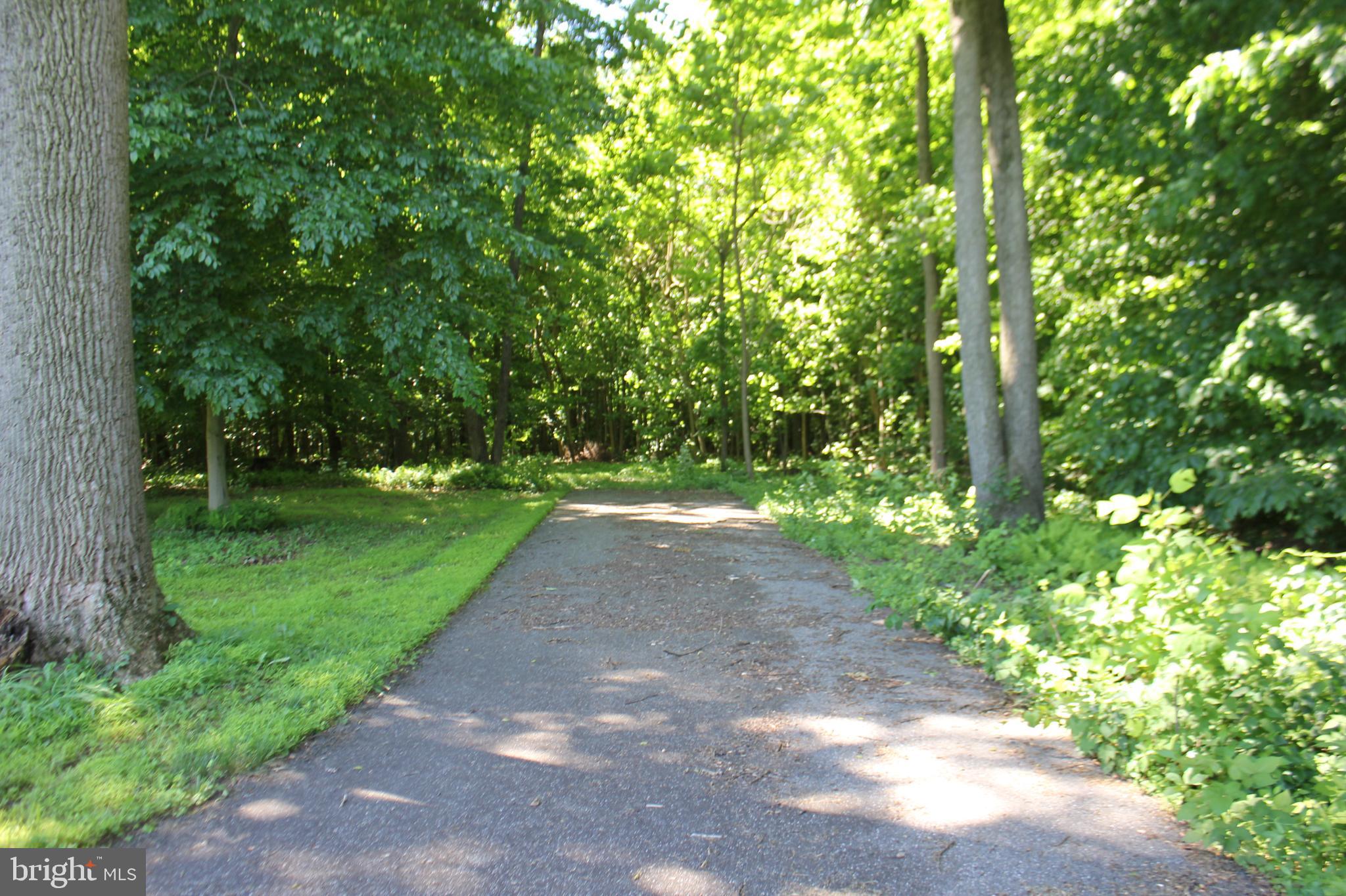 0 Telegraph Road Elkton, MD 21921 - Photo 2 of 6 Private lot set back from road