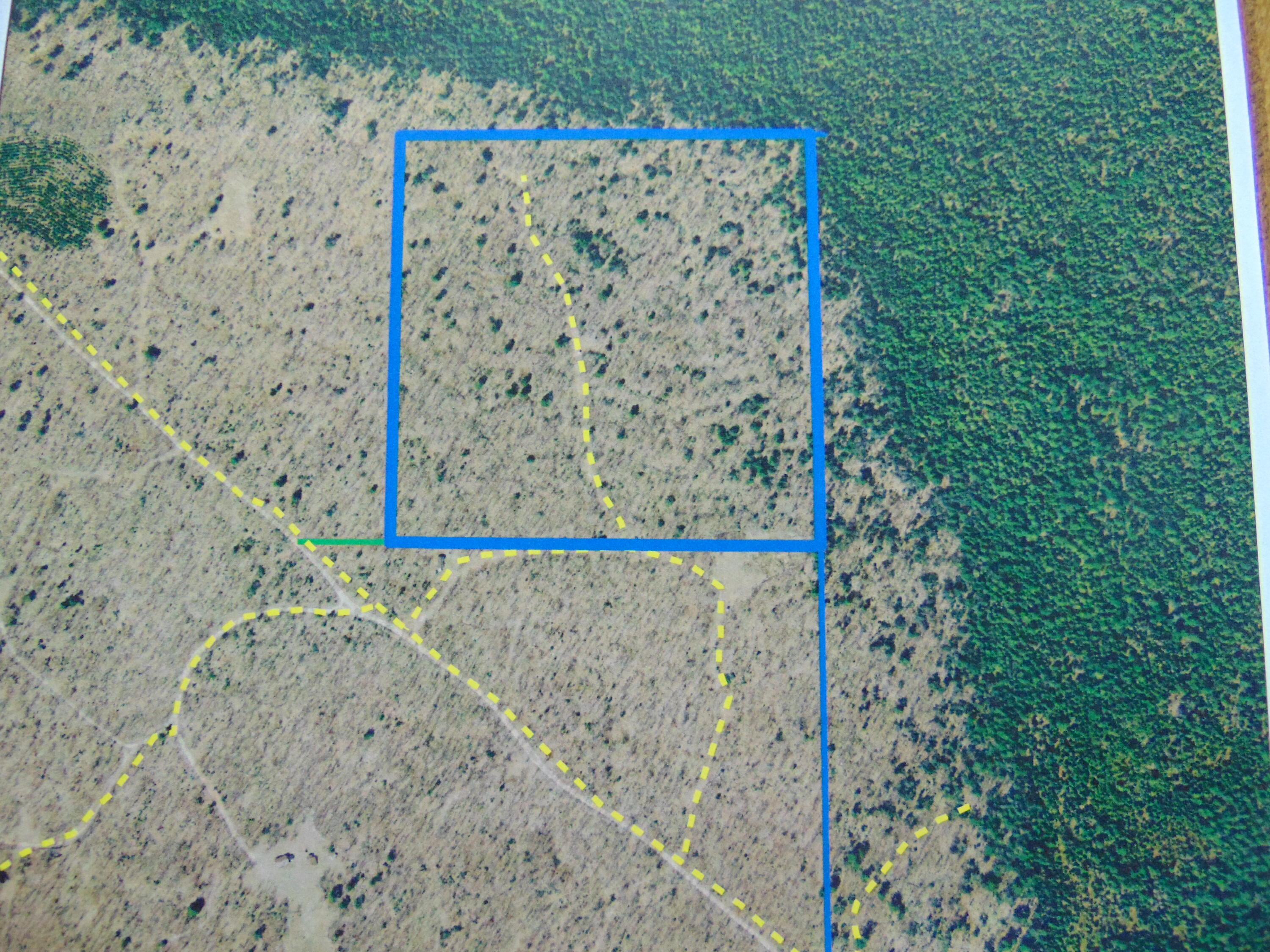 0 Widgeon Cr Road Newberry, MI 49868 - Photo 2 of 2 Gallery Image 2