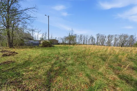 a view of a field with a tree in the background