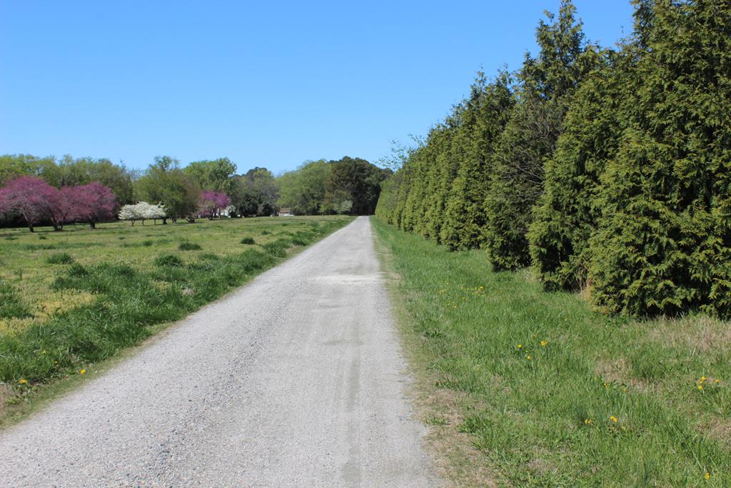 Lot 2 Gull Point Road, Unit 2 Franktown, VA 23354 - Photo 11 of 18