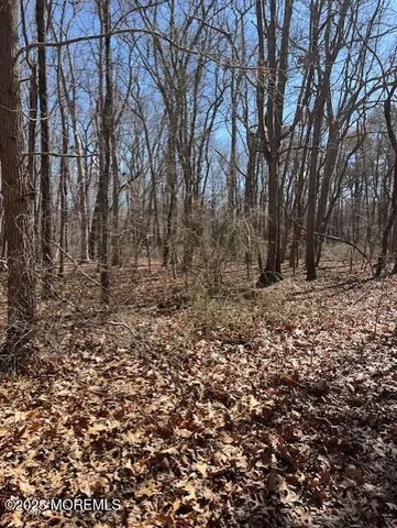 $300,000 | 0 Cedar Street | Bushwick