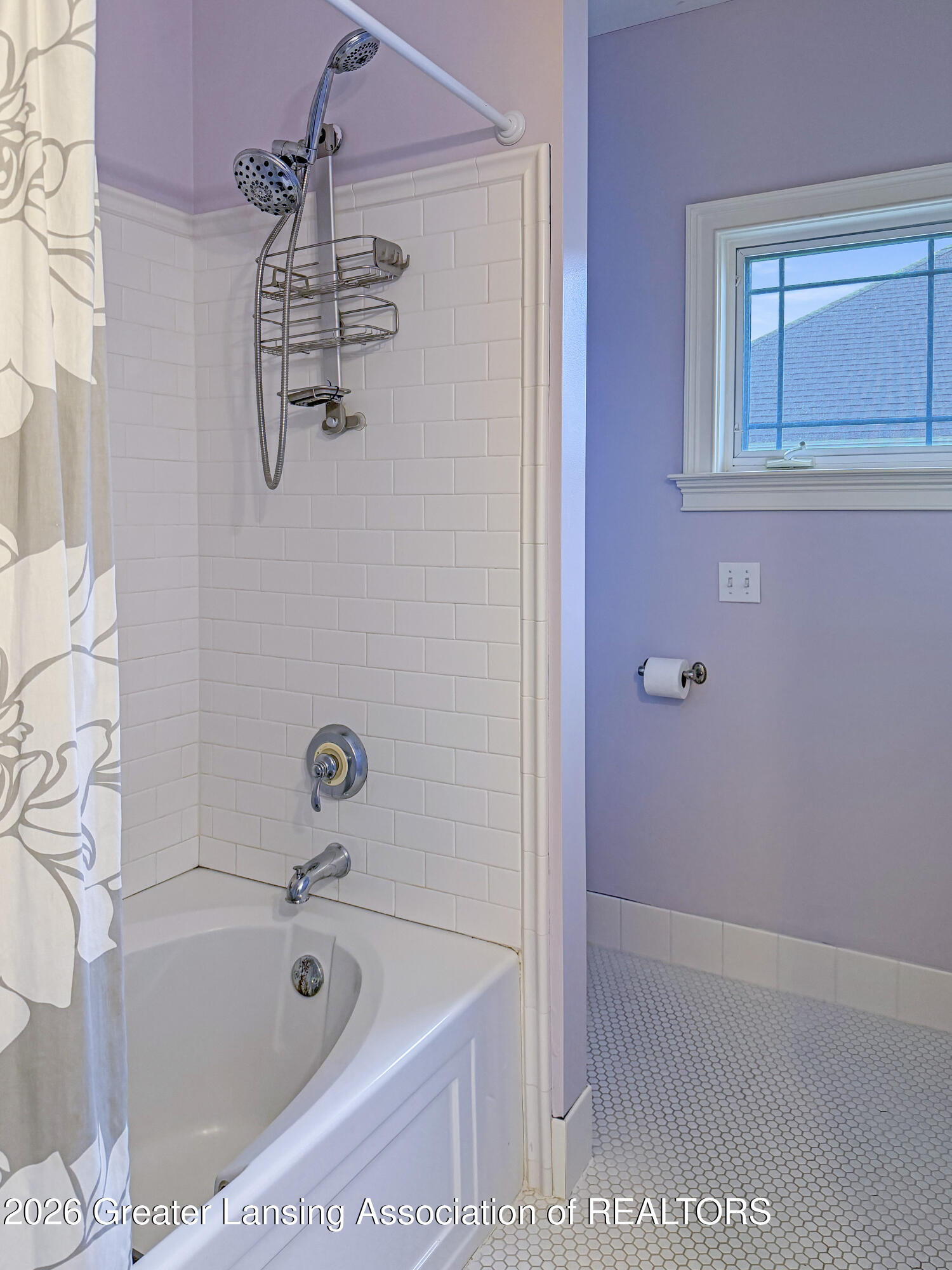 511 Kimball Street Howell, MI 48855 - Photo 23 of 50
