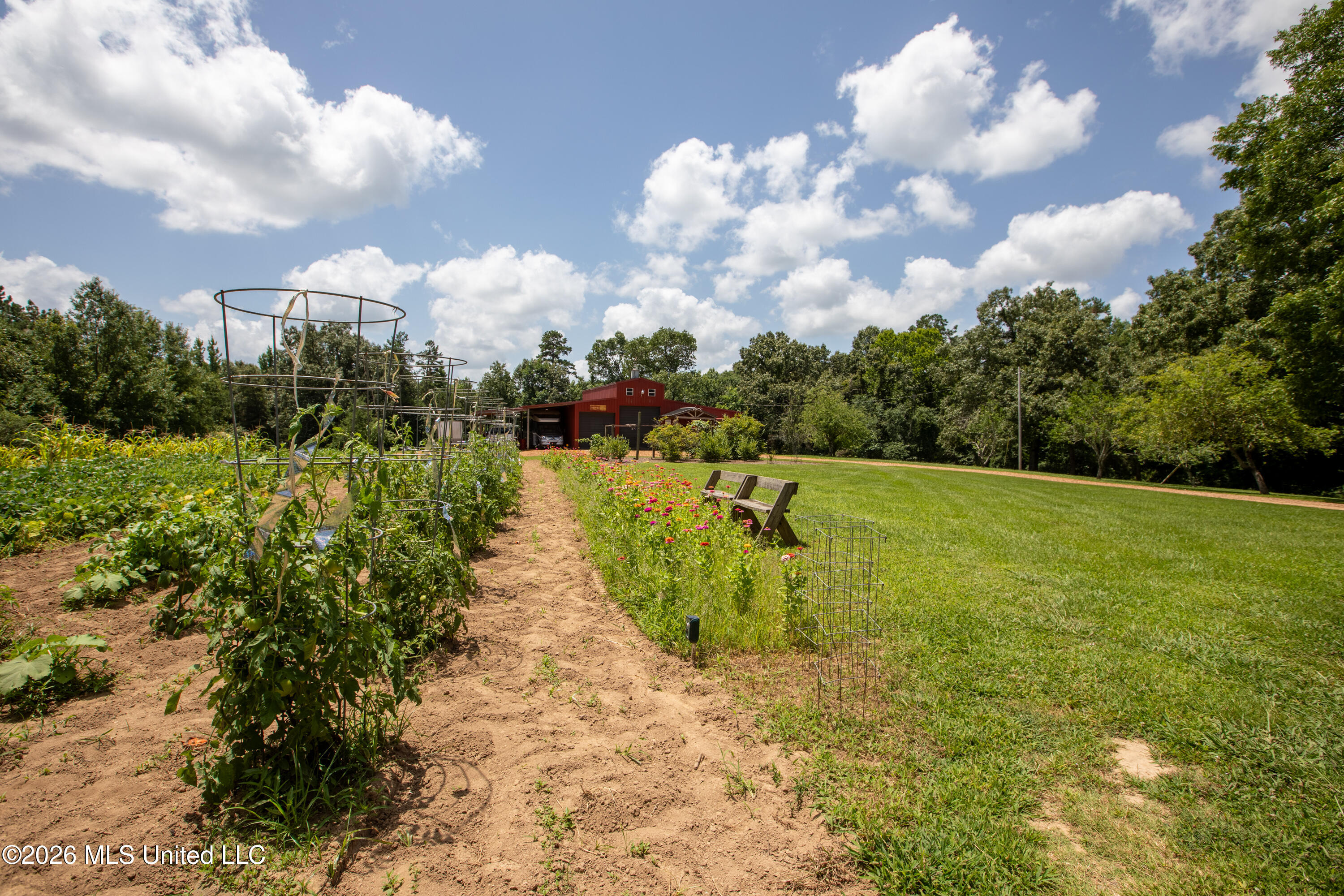 828 Little Egypt Road Ashland, MS 38603 - Photo 48 of 101 0H1A2901-HDR