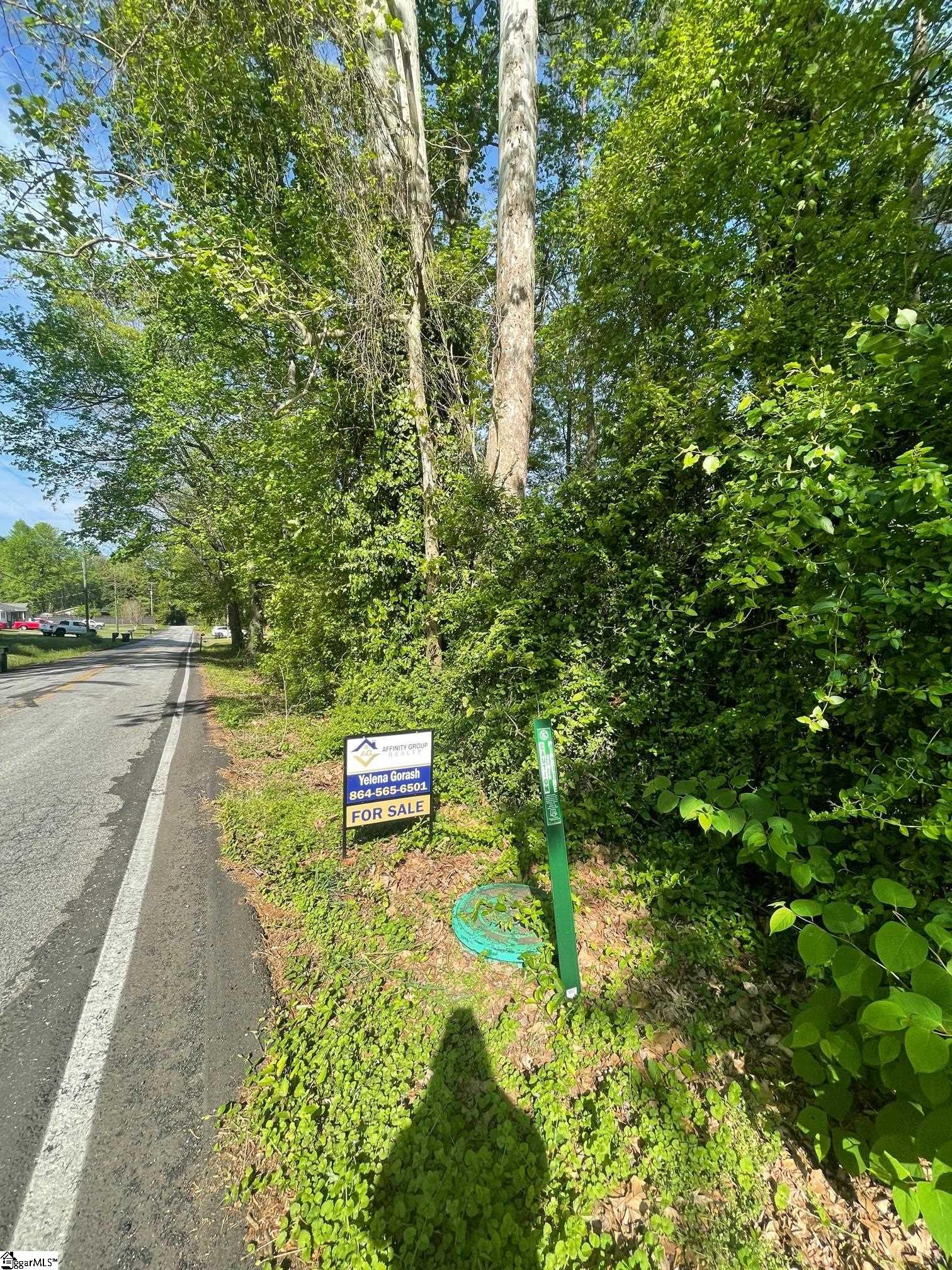 218 Pleasant Drive Greer, SC 29651 - Photo 3 of 4