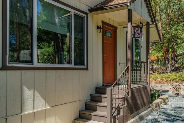 a view of a tree with back yard