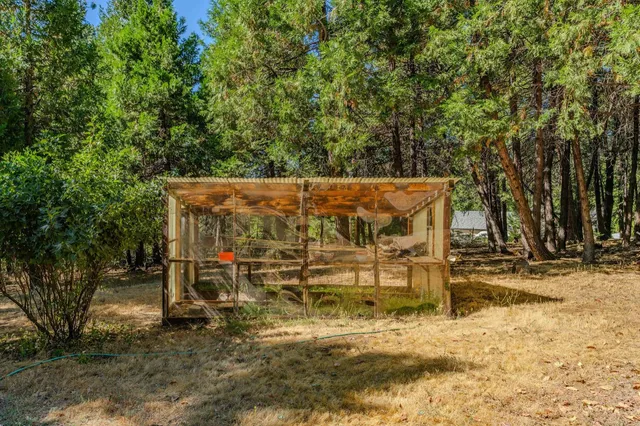 a view of outdoor space with lots of trees