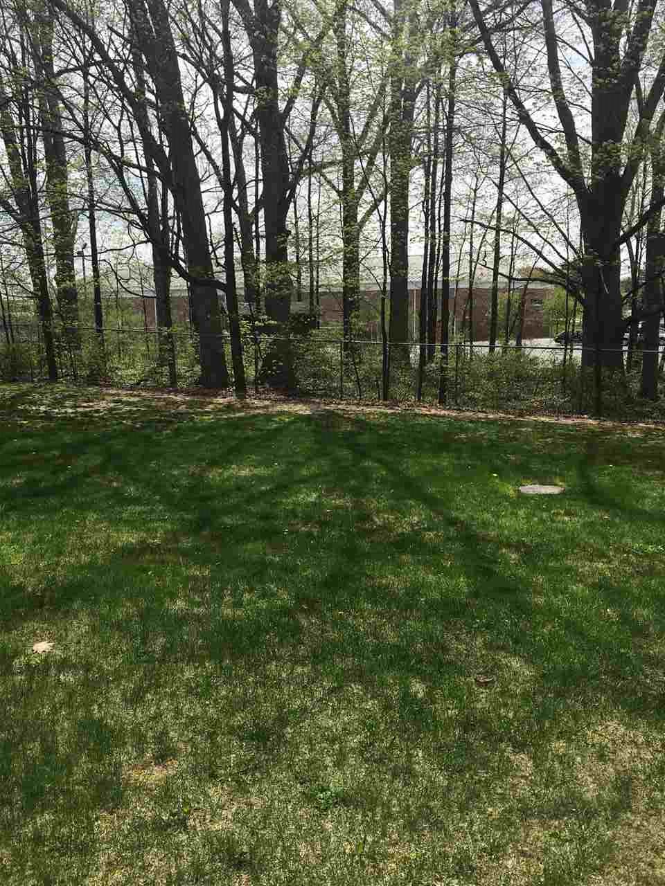 935 Falkirk Road Alma, MI 48801 - Photo 31 of 38 1816253-30.JPG