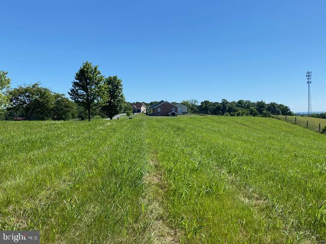 14521 Fairview Hill Lane Clear Spring, MD 21722 - Photo 7 of 9 a view of a big yard with a large tree and plants