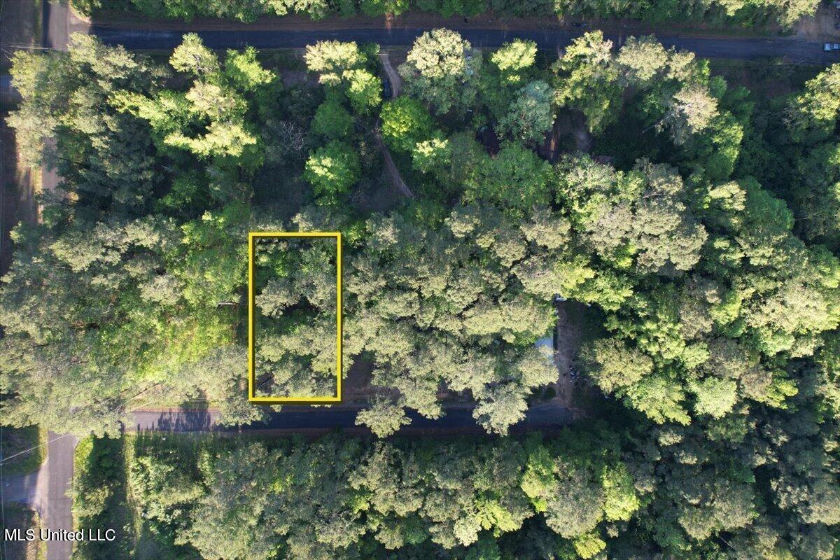 Ashley Drive Brandon, MS 39042 - Photo 3 of 3 20230424231255744472000000-o