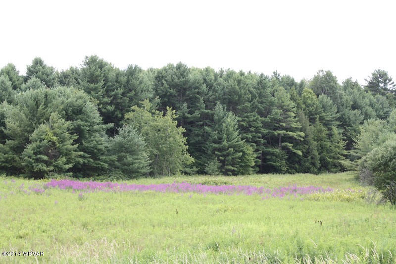 Lot 1 362nd Route Wellsboro, PA 16901 - Photo 3 of 9 125787-03