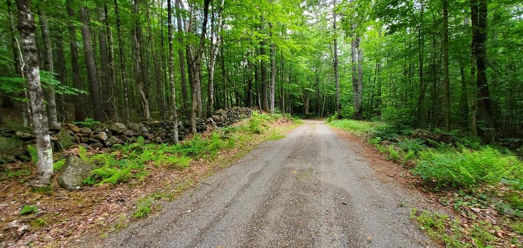 78 Staples Pond Road Temple, ME 04984 - Photo 22 of 22 20230620_141130
