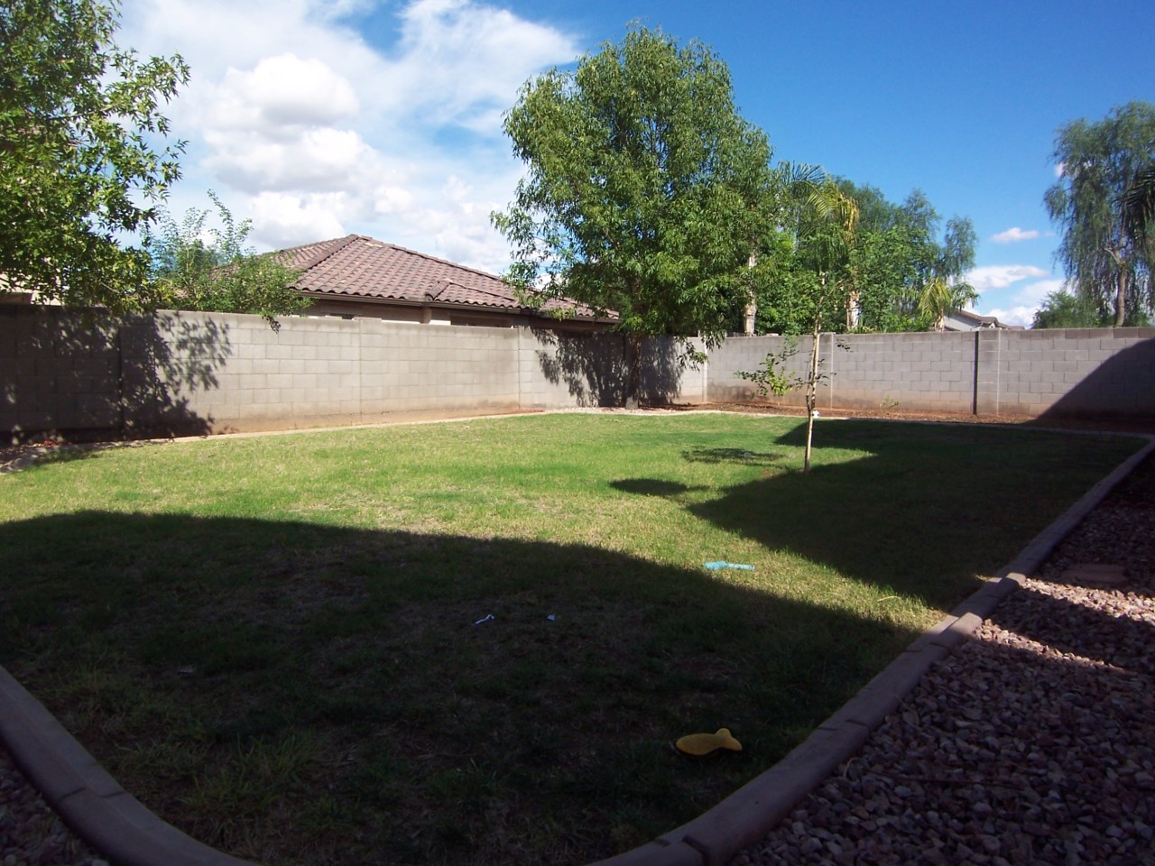 3708 East Sheffield Road Gilbert, AZ 85296 - Photo 14 of 17 Back Yard
