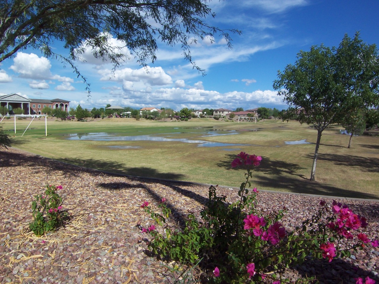 3708 East Sheffield Road Gilbert, AZ 85296 - Photo 16 of 17 Park Near By