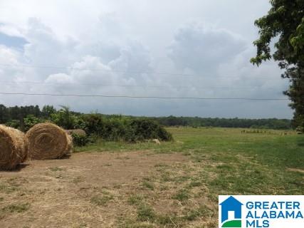 0 Highway 24 Oneonta Al Oneonta, AL 35121 - Photo 23 of 27