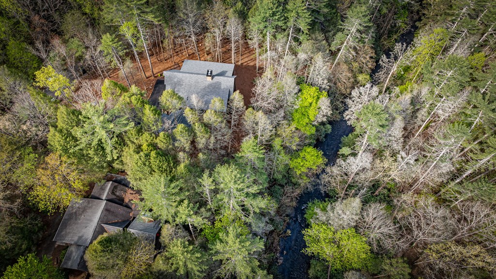 138 River Road Cherry Log, GA 30522 - Photo 46 of 98