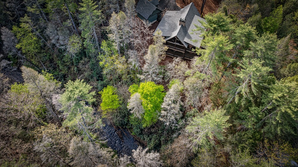 138 River Road Cherry Log, GA 30522 - Photo 47 of 98