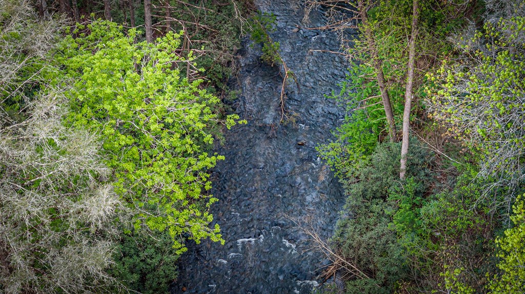 138 River Road Cherry Log, GA 30522 - Photo 51 of 98