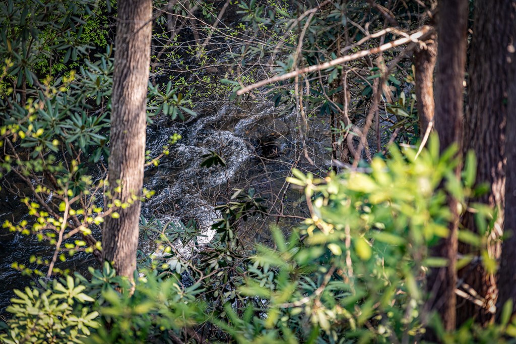 138 River Road Cherry Log, GA 30522 - Photo 79 of 98