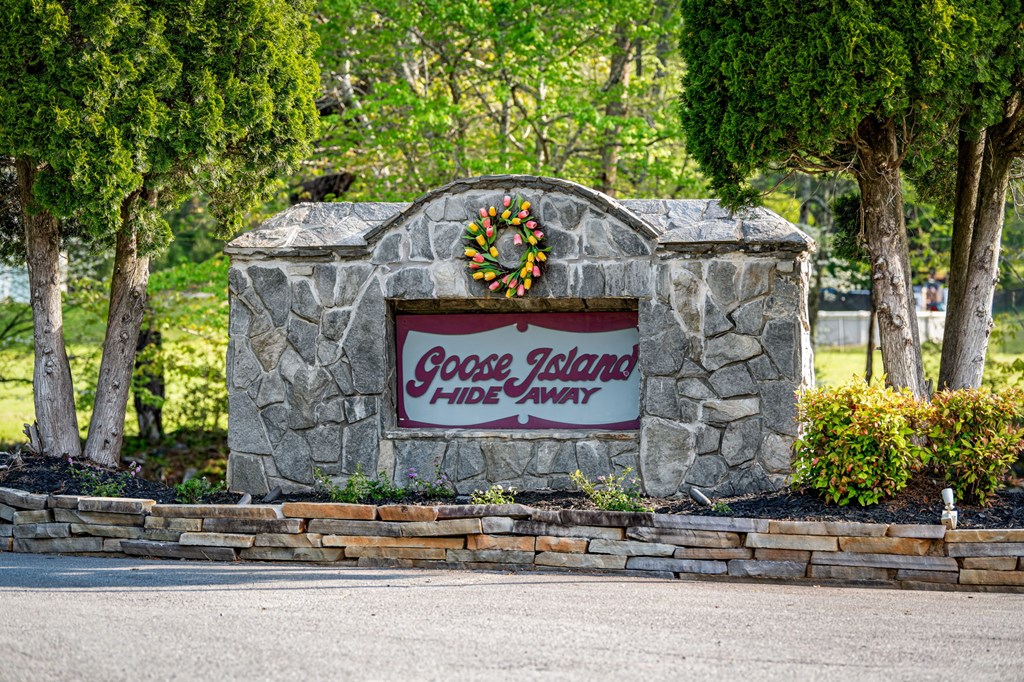 138 River Road Cherry Log, GA 30522 - Photo 90 of 98