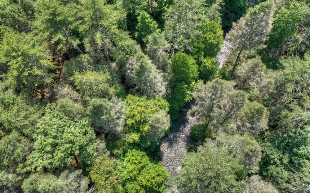 138 River Road Cherry Log, GA 30522 - Photo 96 of 98