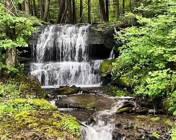 $425,000 | Hill Road, Halcottsville, NY 12438