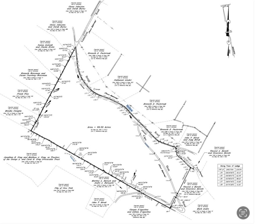 Hill Road Halcottsville, NY 12438 - Photo 11 of 43