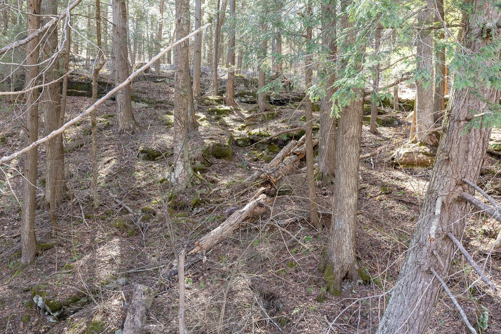 Hill Road Halcottsville, NY 12438 - Photo 14 of 43