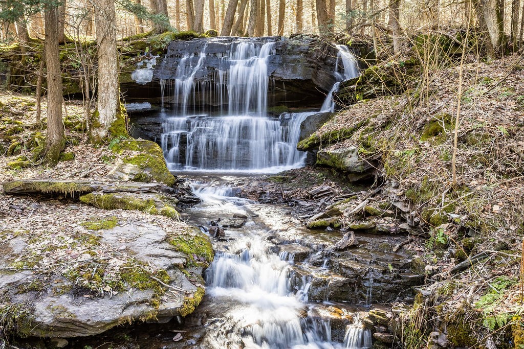 Hill Road Halcottsville, NY 12438 - Photo 15 of 43
